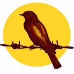 Logo du site Mémoires des Résistances et des Déportations : une pie sur le barbelé d'un camp de concentration nazi, témoin des horreurs et des luttes.